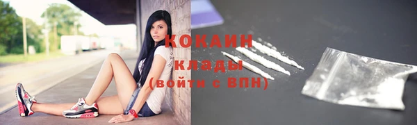 спиды Алзамай