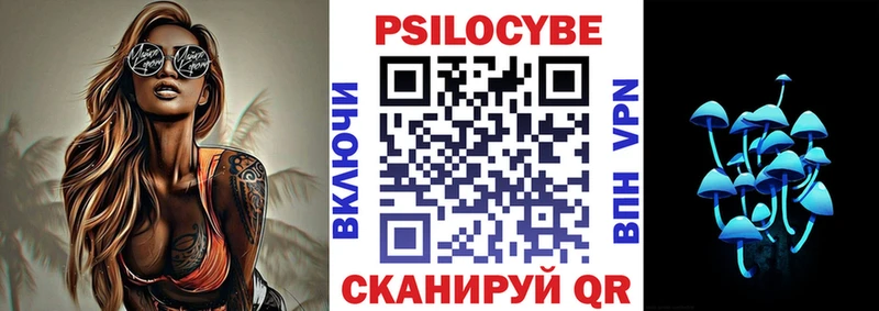 Галлюциногенные грибы Psilocybine cubensis  мориарти наркотические препараты  Жуковка  закладка 
